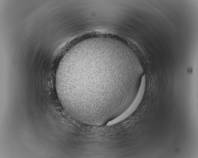 X0000115120776200911171327