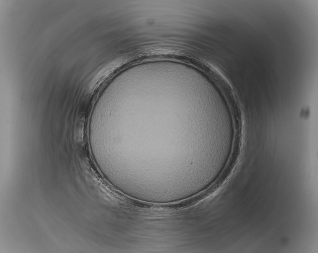 X0000115120777200911171327