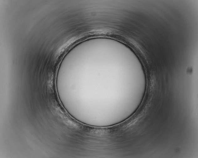 X0000115120778200911171327