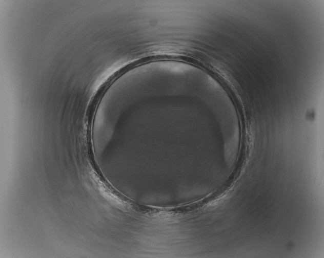 X0000115120779200911171327