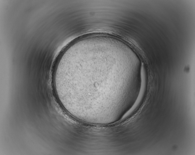 X0000115120780200911171327