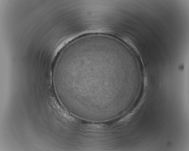 X0000115120781200911171327