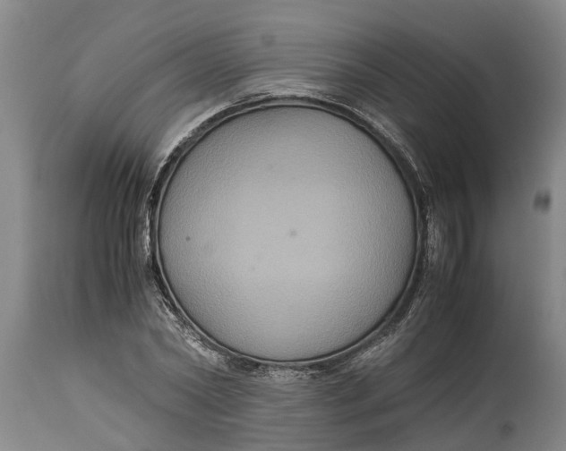 X0000115120782200911171327