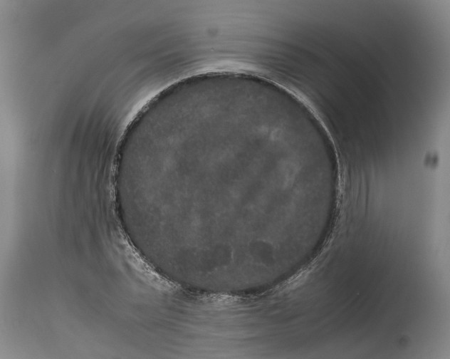 X0000115120783200911171327