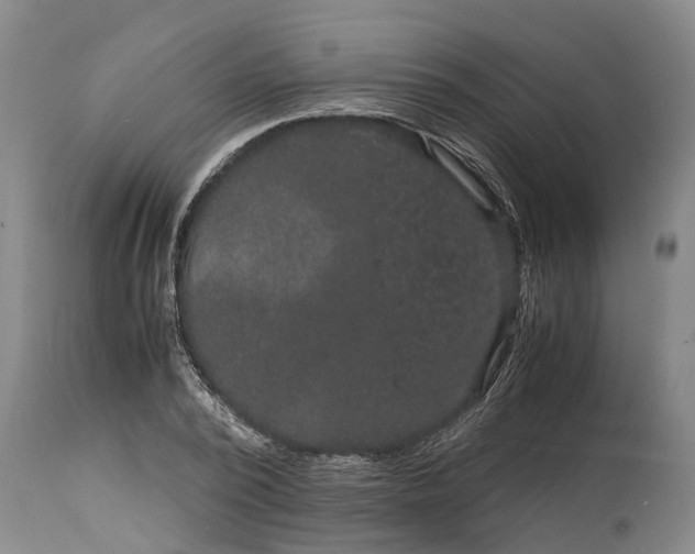 X0000115120784200911171327