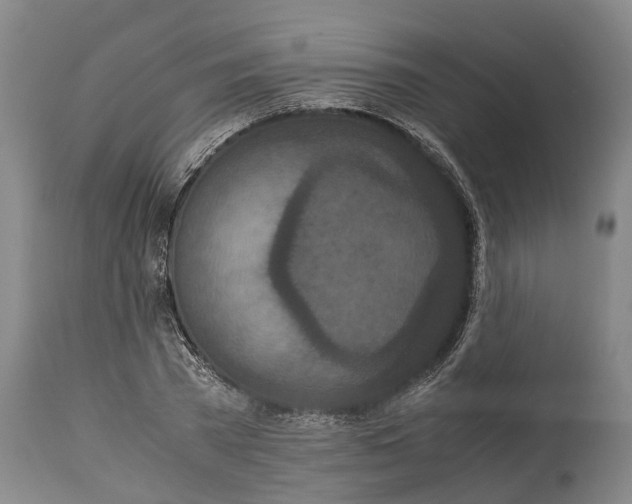 X0000115120785200911171327