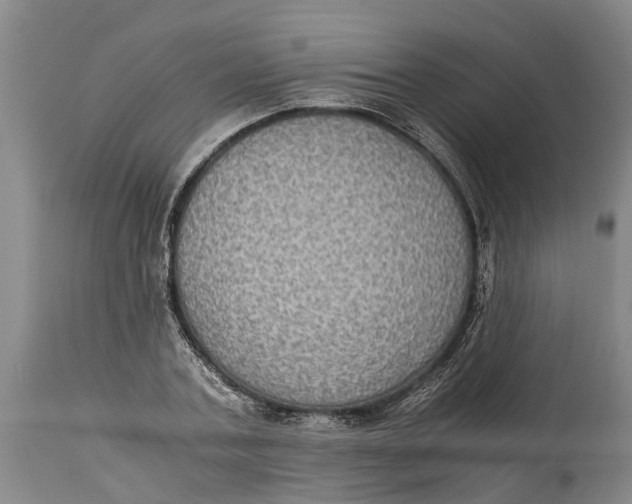 X0000115120787200911171327