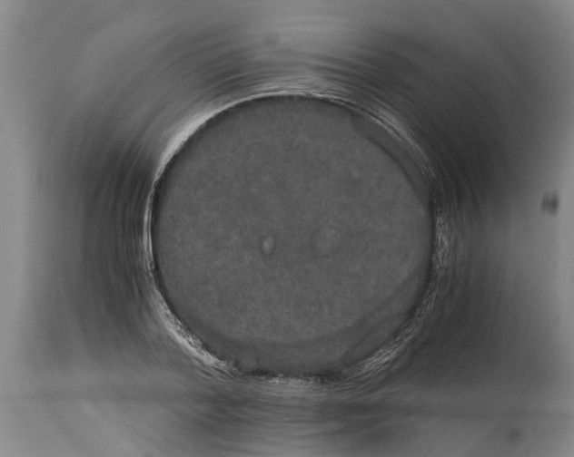 X0000115120788200911171326