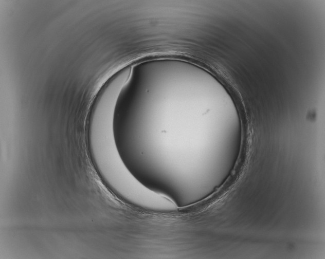 X0000115120789200911171326