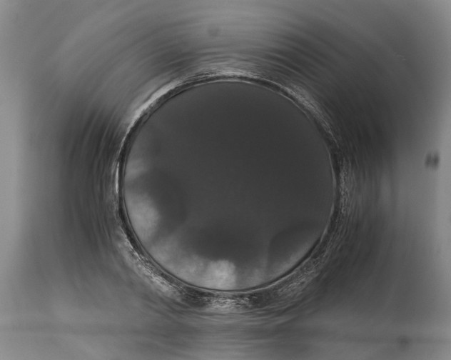 X0000115120790200911171326
