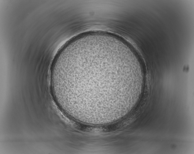 X0000115120791200911171326