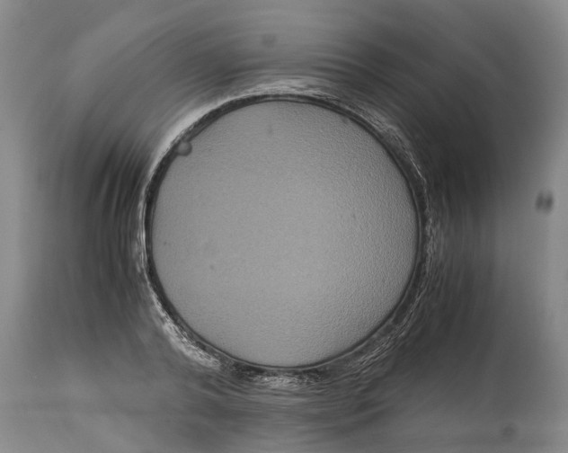 X0000115120792200911171326