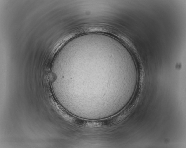 X0000115120793200911171326