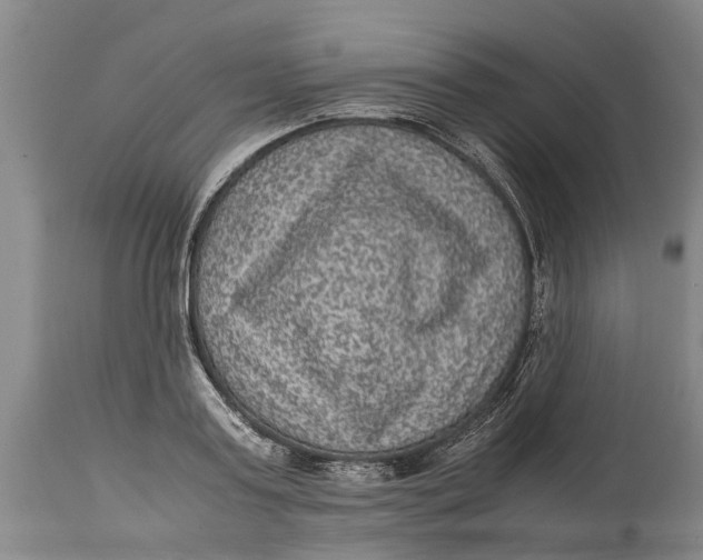 X0000115120795200911171326