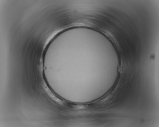 X0000115120796200911171326