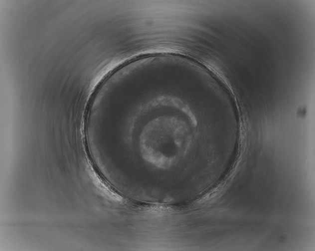 X0000115120797200911171326