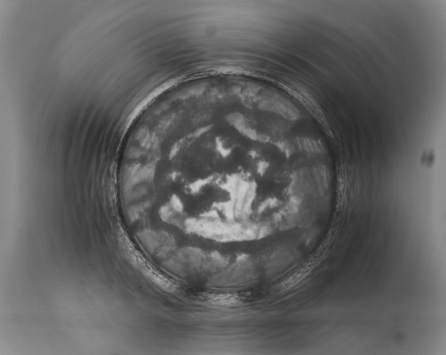 X0000115120798200911171326