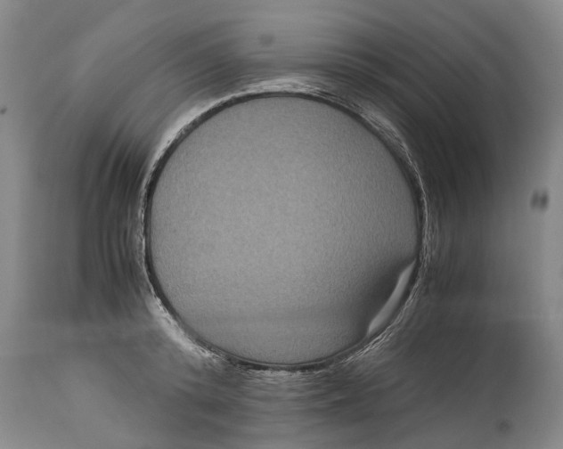 X0000115120800200911171326