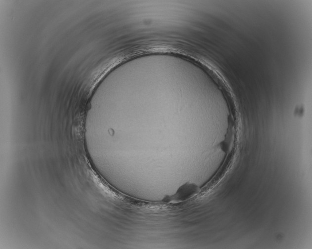 X0000115120801200911171326