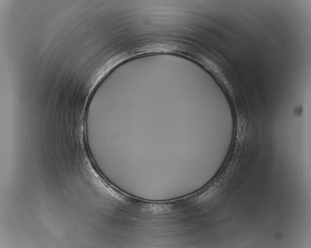 X0000115120802200911171326