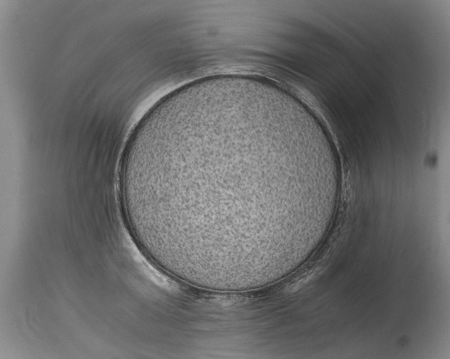 X0000115120803200911171326