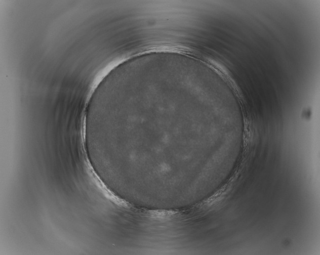 X0000115120804200911171326