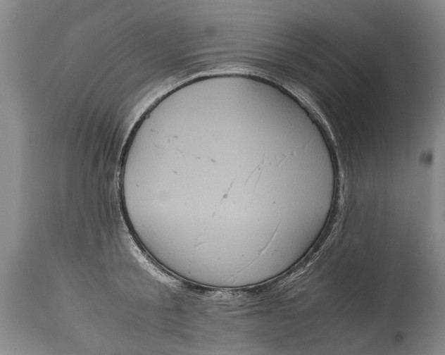 X0000115120805200911171326