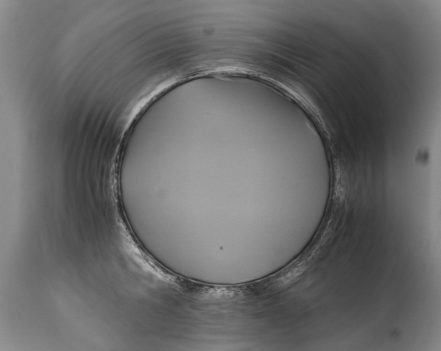 X0000115120806200911171326