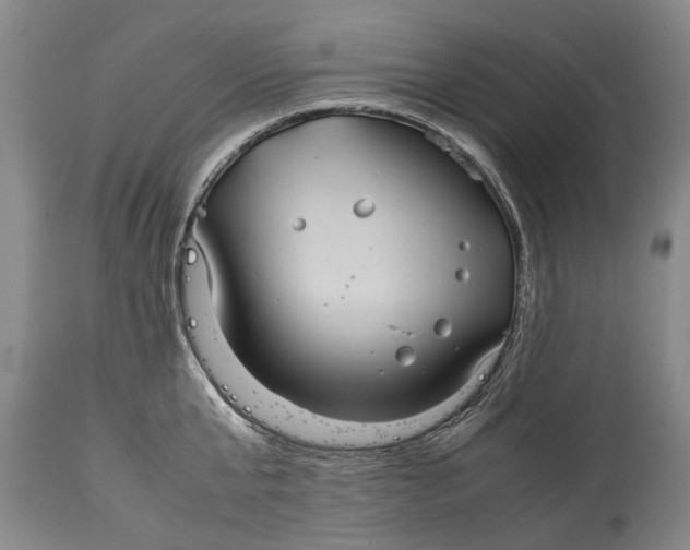 X0000115120807200911171326