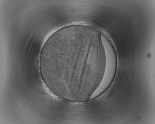 X0000115120808200911171326