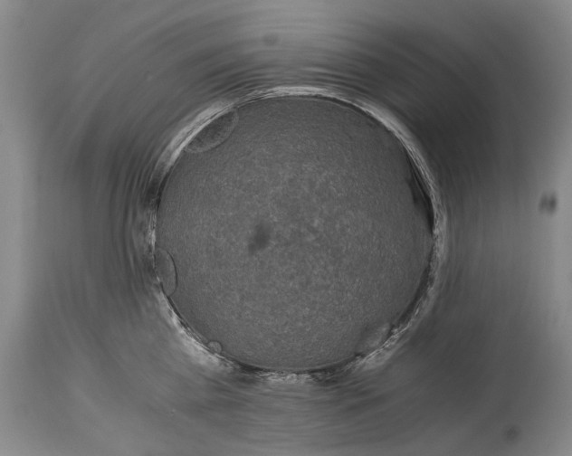 X0000115120809200911171326