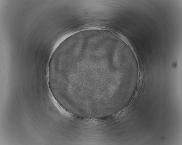 X0000115120811200911171326