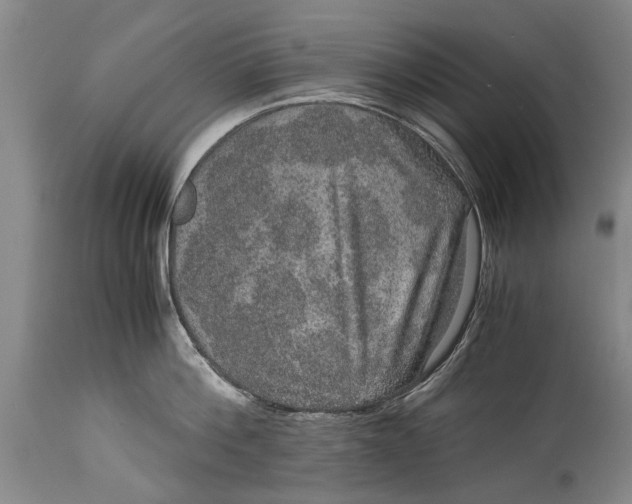 X0000115120812200911171326