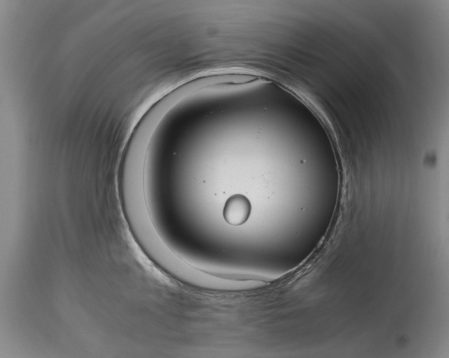 X0000115120813200911171326