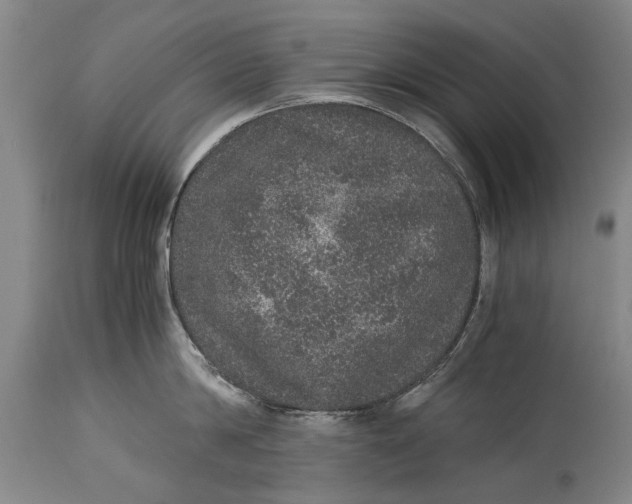 X0000115120814200911171326