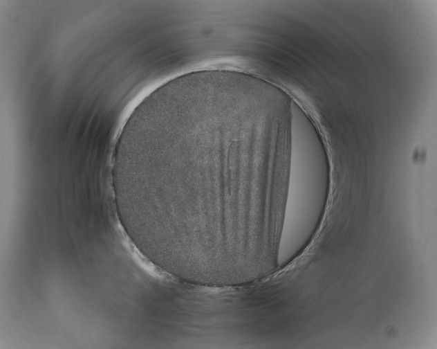 X0000115120816200911171326