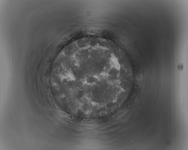 X0000115120817200911171325