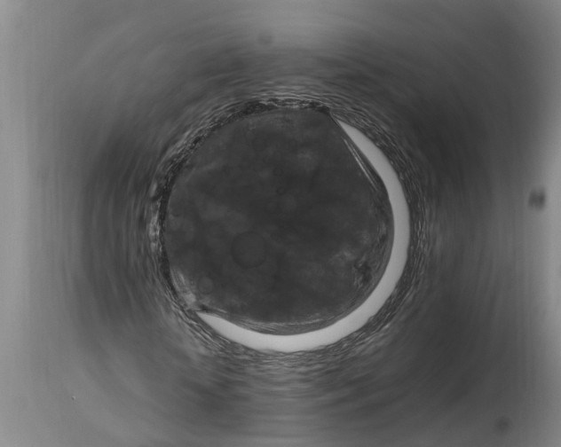 X0000115120818200911171325