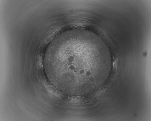 X0000115120819200911171325