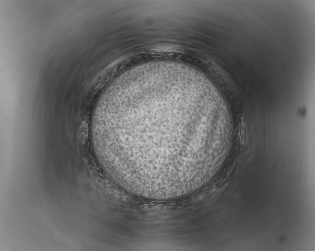 X0000115120821200911171326