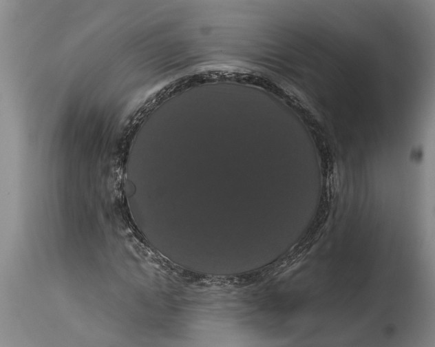 X0000115120822200911171326