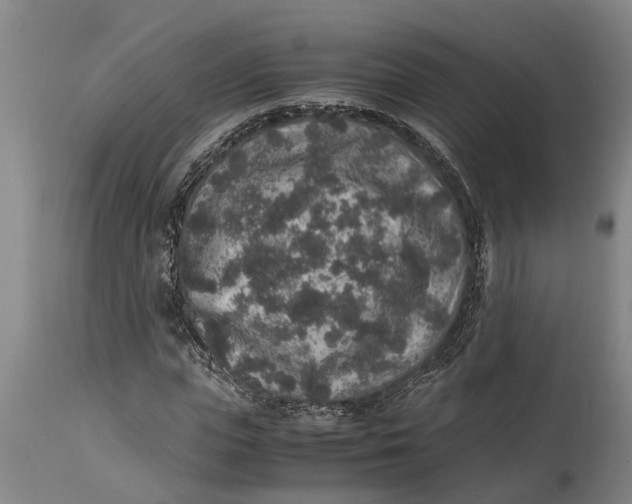 X0000115120823200911171326
