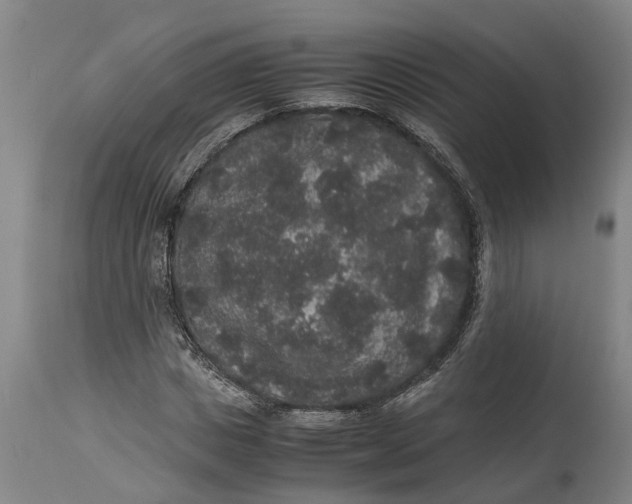 X0000115120825200911171326