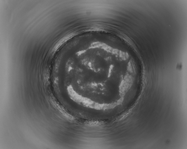 X0000115120826200911171326