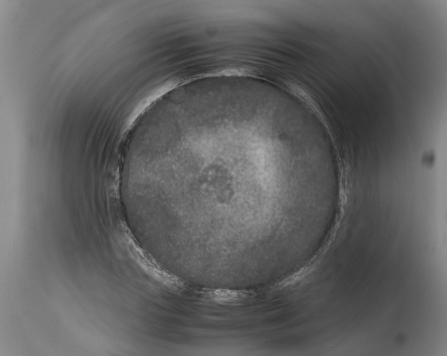 X0000115120827200911171326