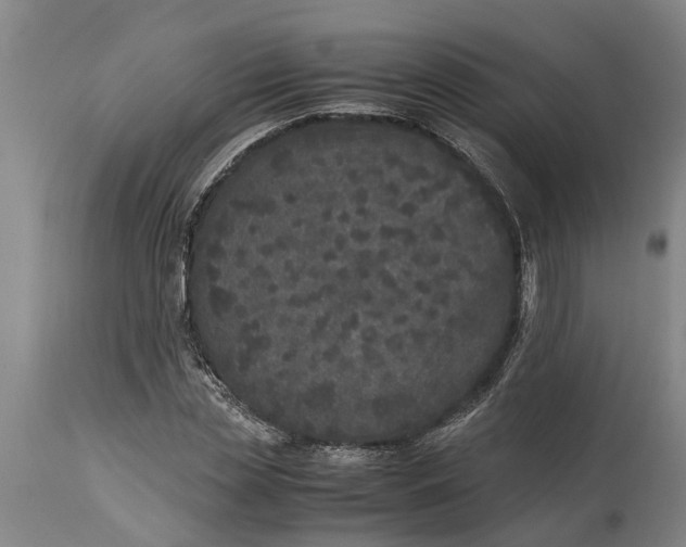 X0000115120829200911171326