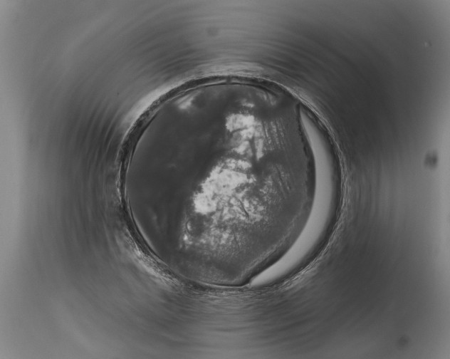 X0000115120830200911171326