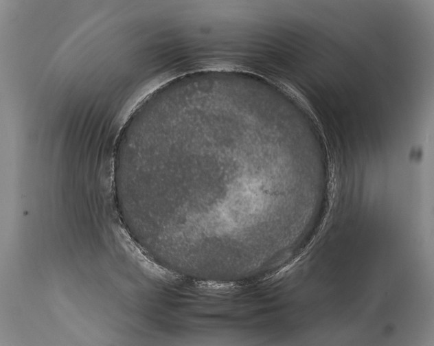 X0000115120831200911171326