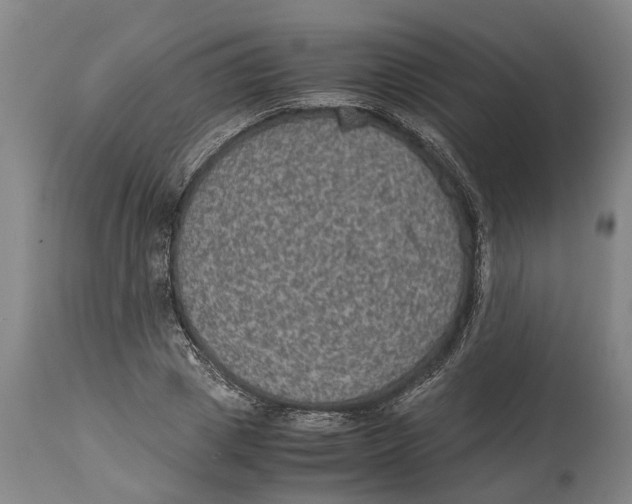 X0000115120833200911171326