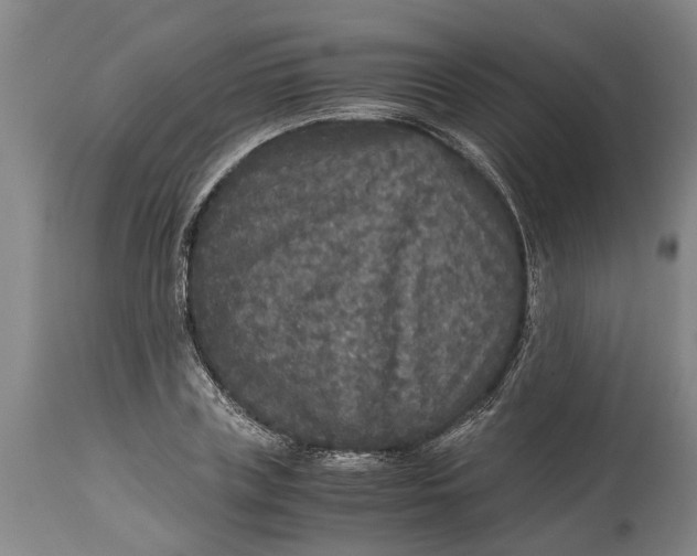 X0000115120835200911171326